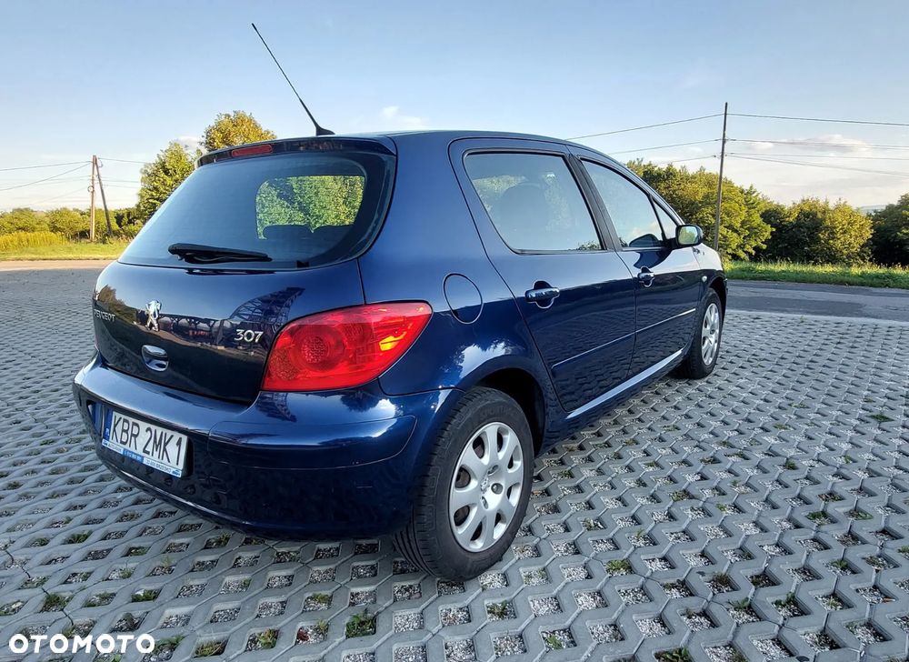 Peugeot 307 1.6 - 6
