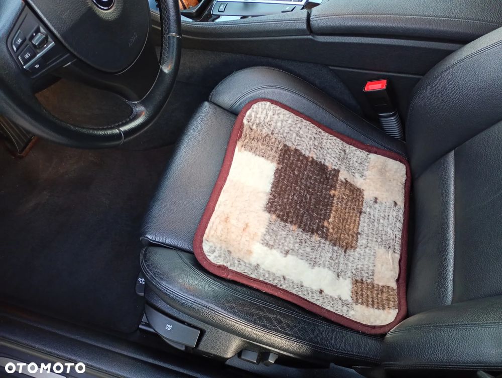 BMW Seria 5 520d - 18