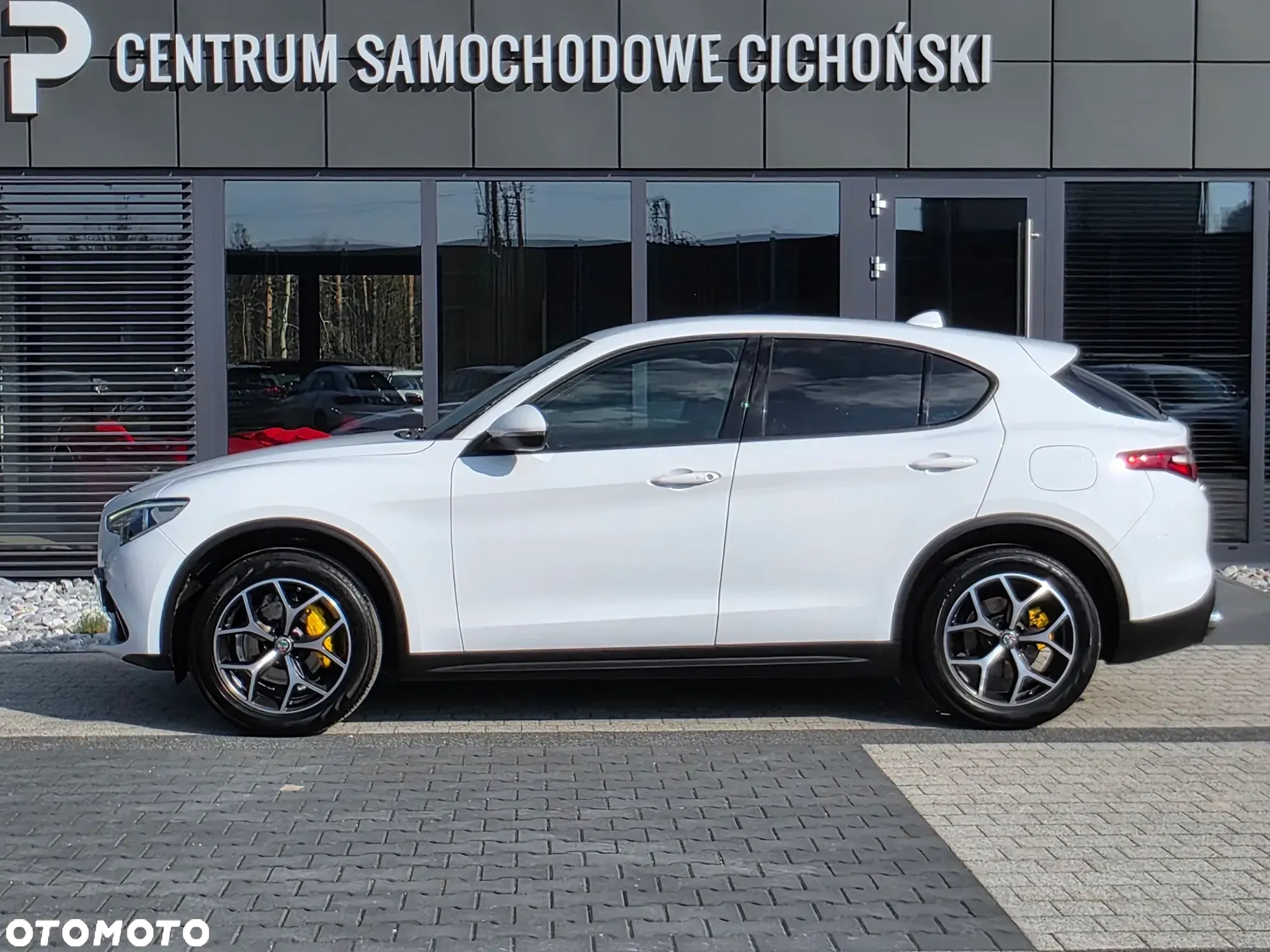 Alfa Romeo Stelvio 2.0 Turbo Executive Q4 - 9