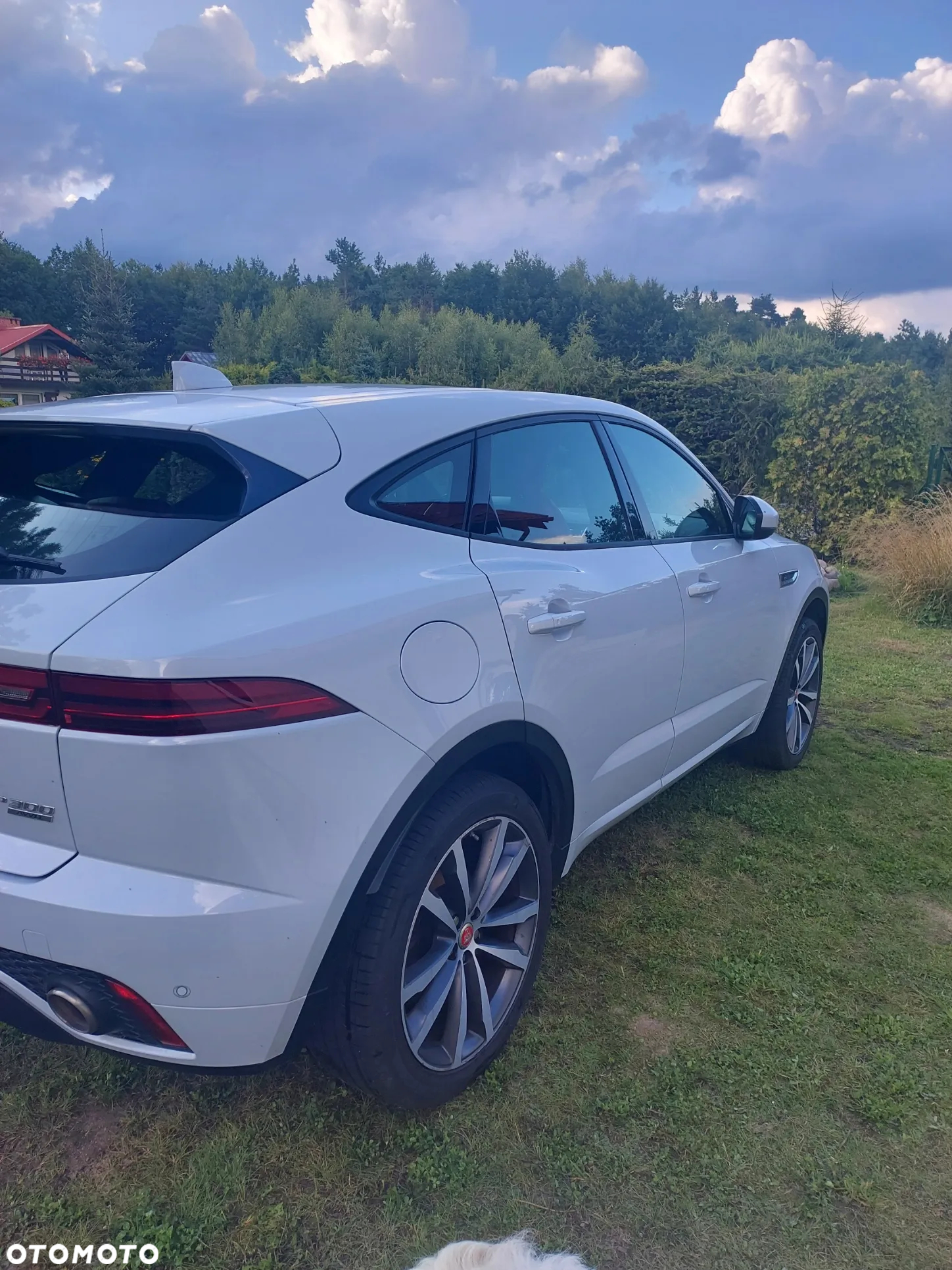 Jaguar E-Pace 2.0 i4P AWD R-Dynamic HSE - 22