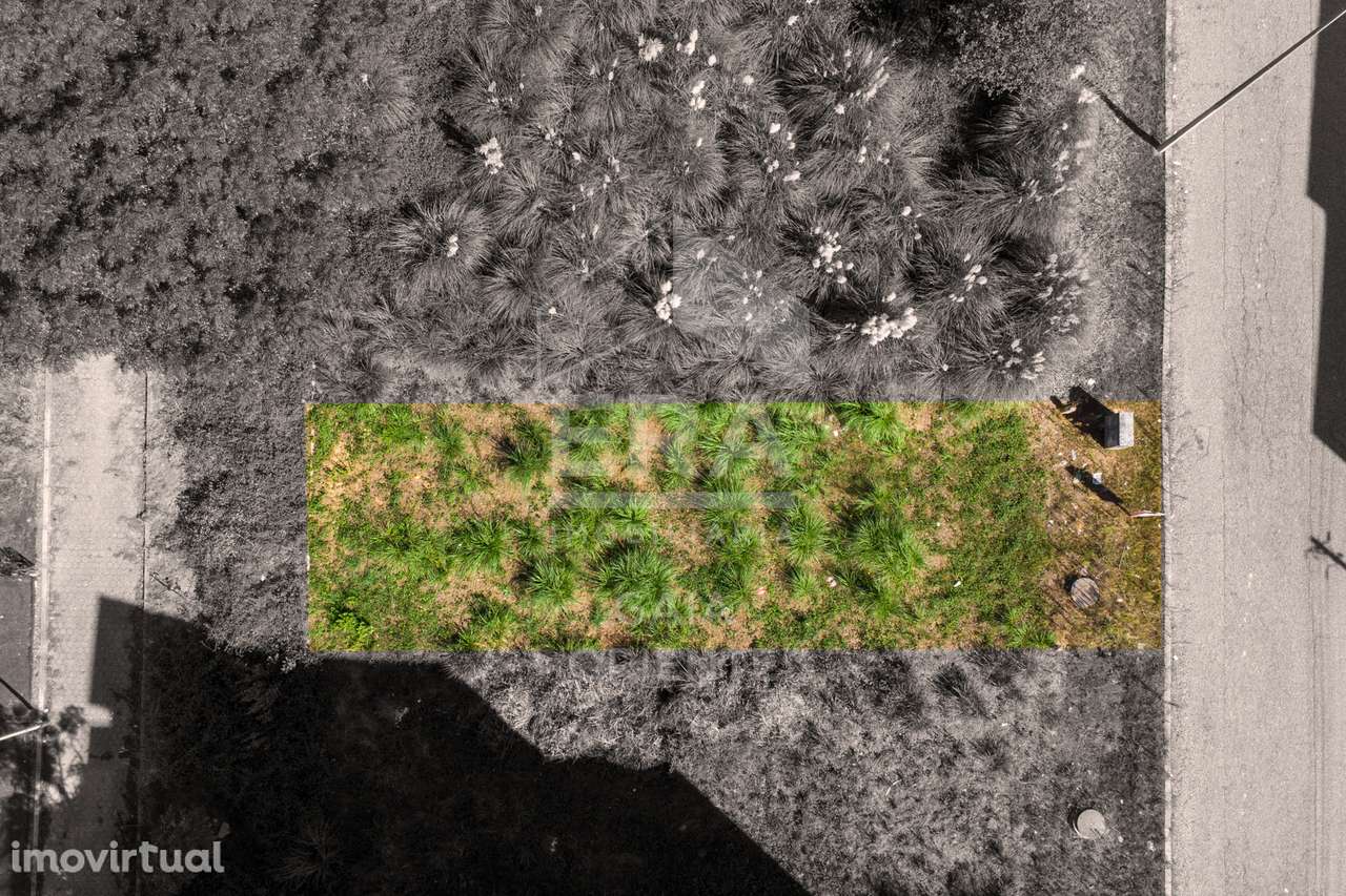 Lote Para Moradia em Pedroso - Grande imagem: 3/9