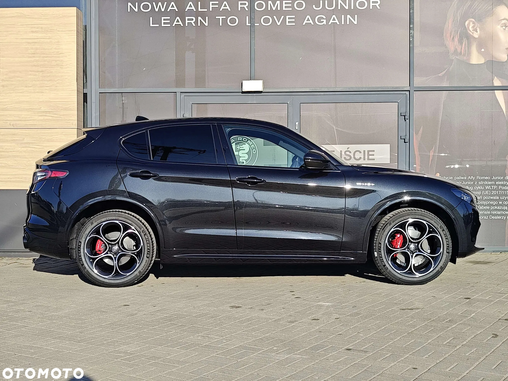Alfa Romeo Stelvio 2.0 Turbo Veloce Q4 - 3
