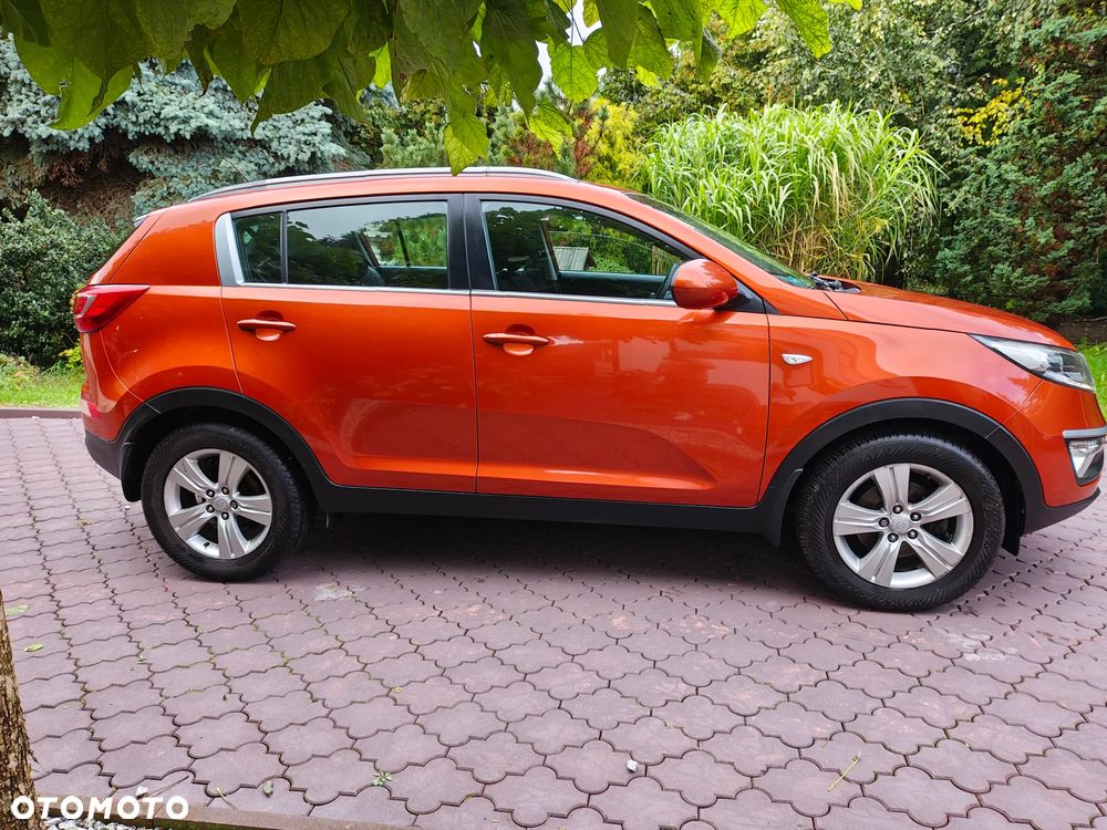 Kia Sportage - 17