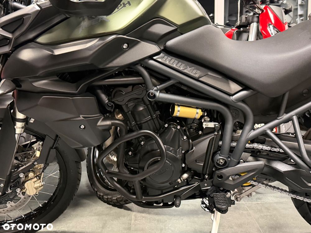 Triumph Tiger - 33