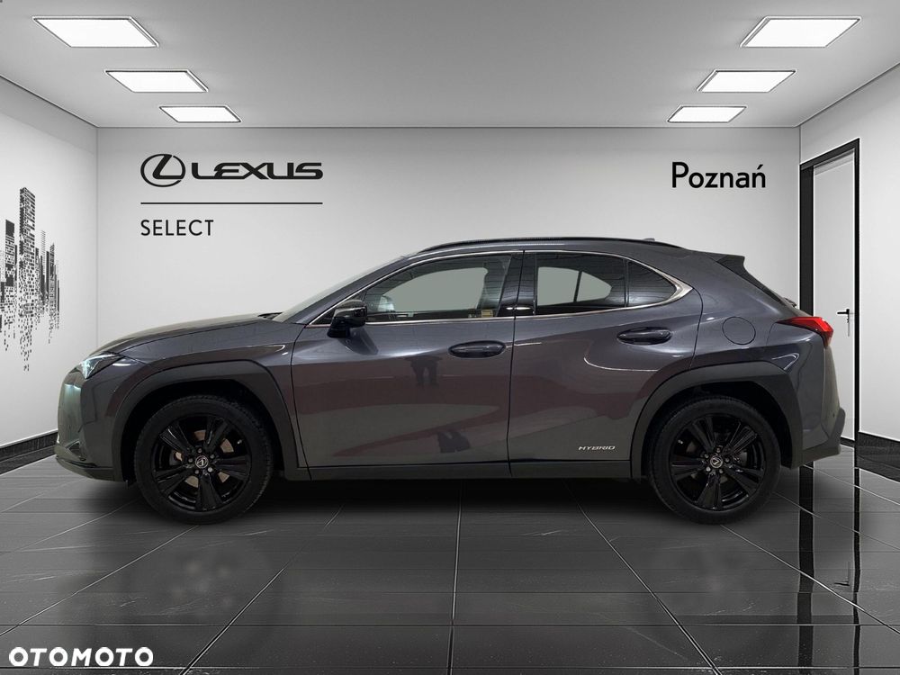 Lexus UX - 7