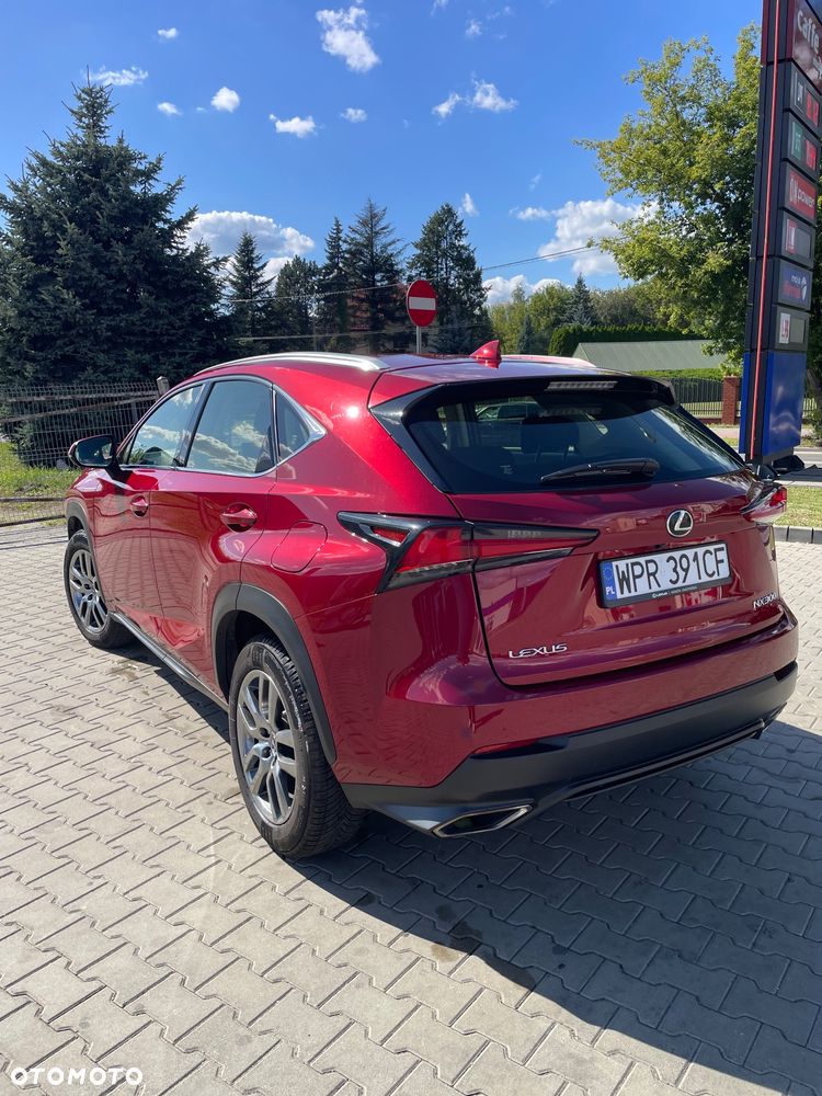 Lexus NX 300 Business Edition AWD - 3