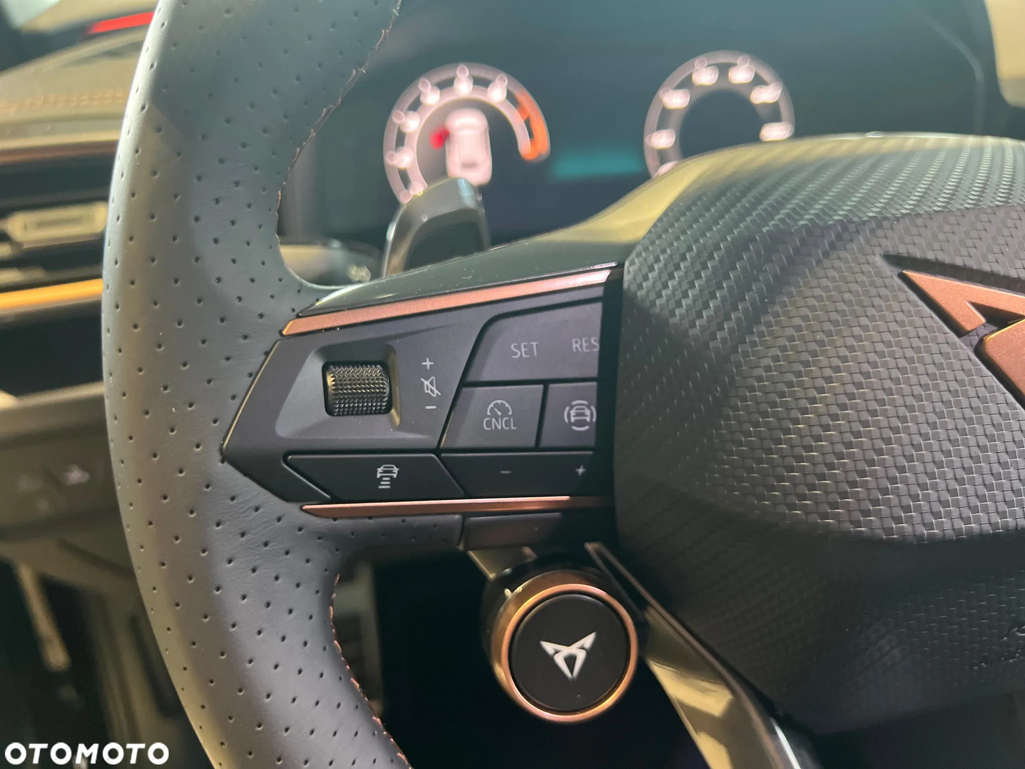 Cupra Leon Sportstourer - 19
