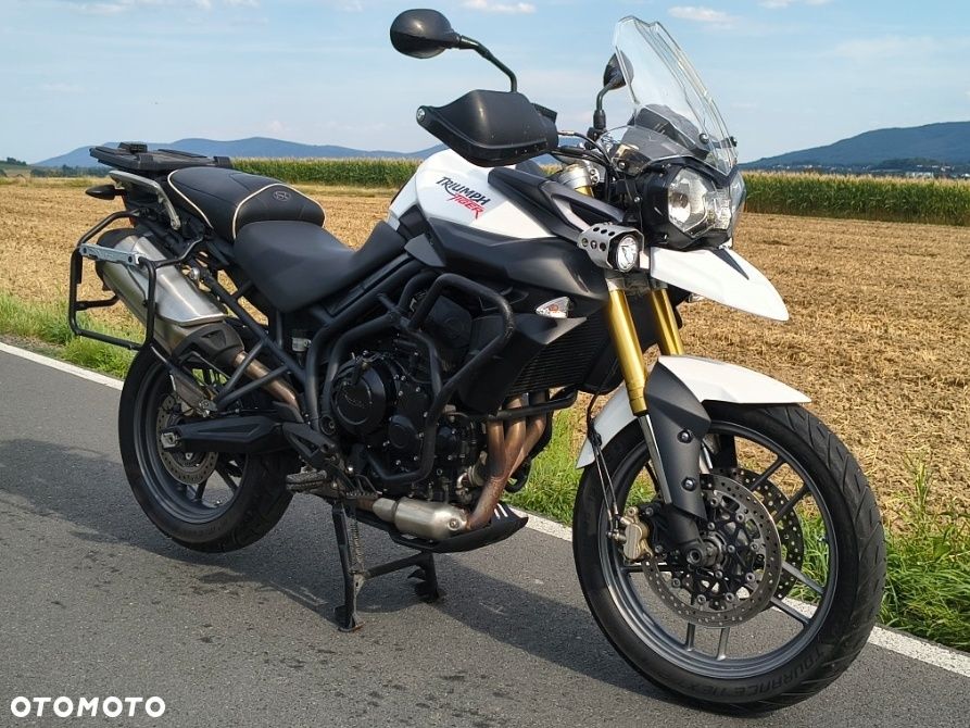 Triumph Tiger - 1