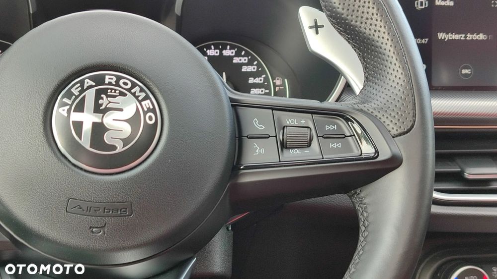 Alfa Romeo Stelvio 2.0 Turbo Veloce Q4 - 28