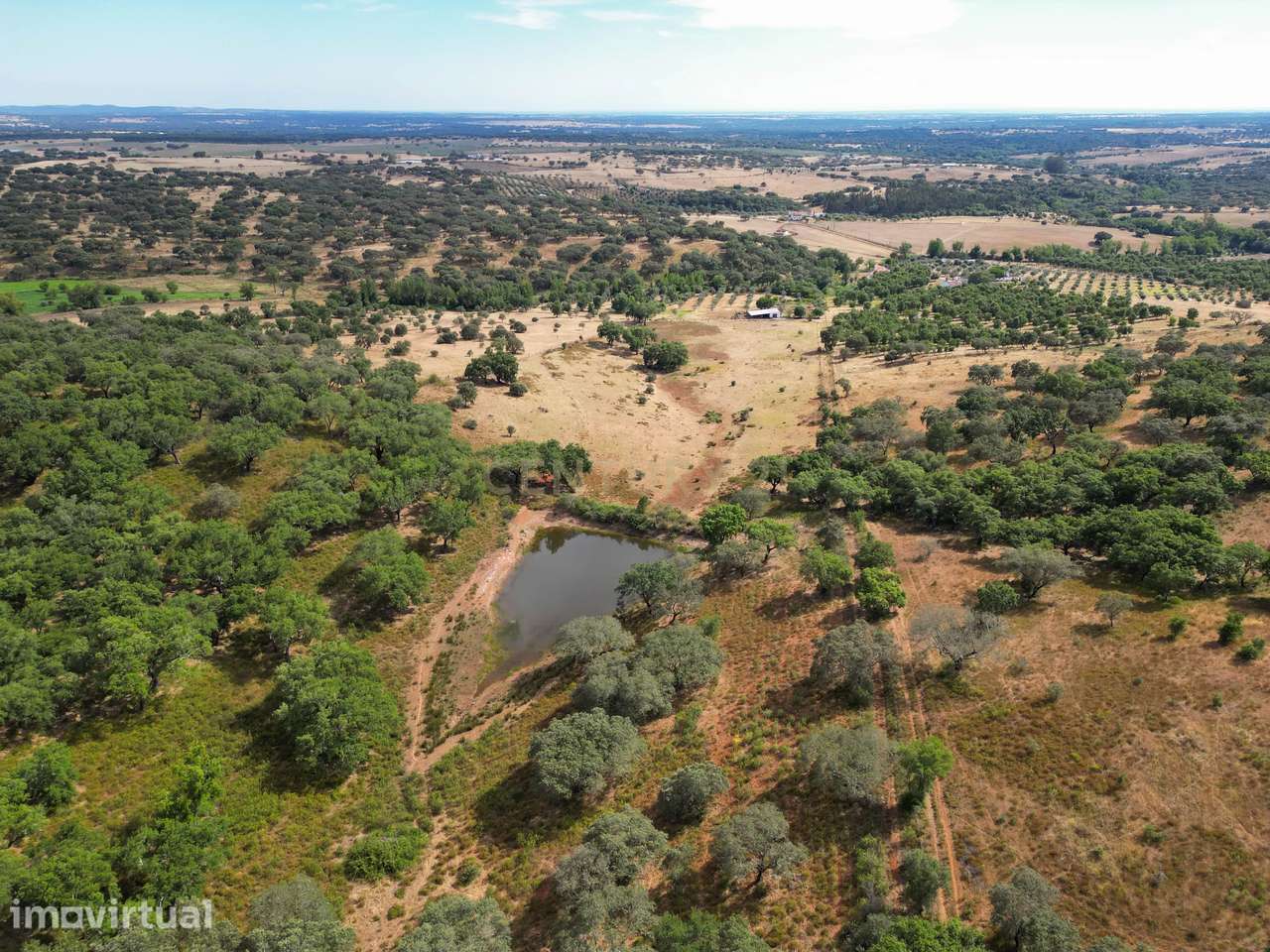 Quinta Charmosa em Montemor o Novo - Oportunidade Única - Grande imagem: 4/16