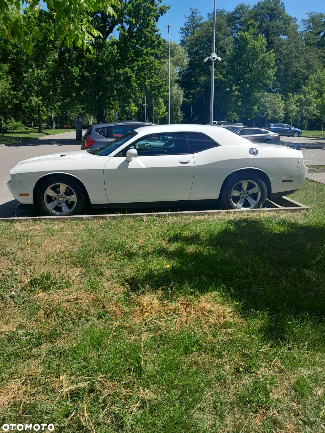 Dodge Challenger Automatik SXT Plus - 6