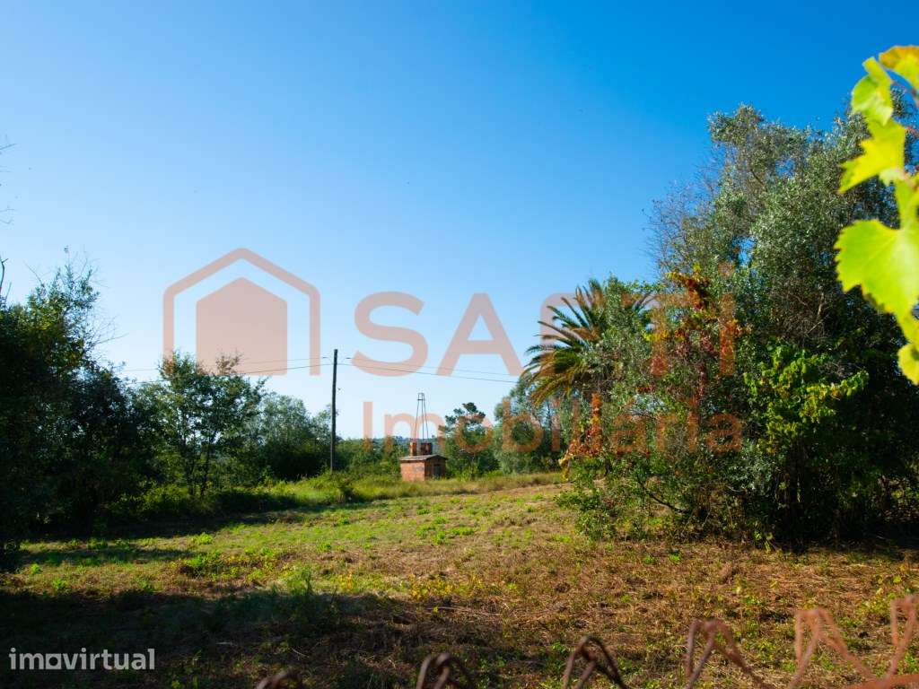 Terreno Murado com 18.880 m² e Potencial Urbanizável | Vila Cã - Po... - Grande imagem: 2/31