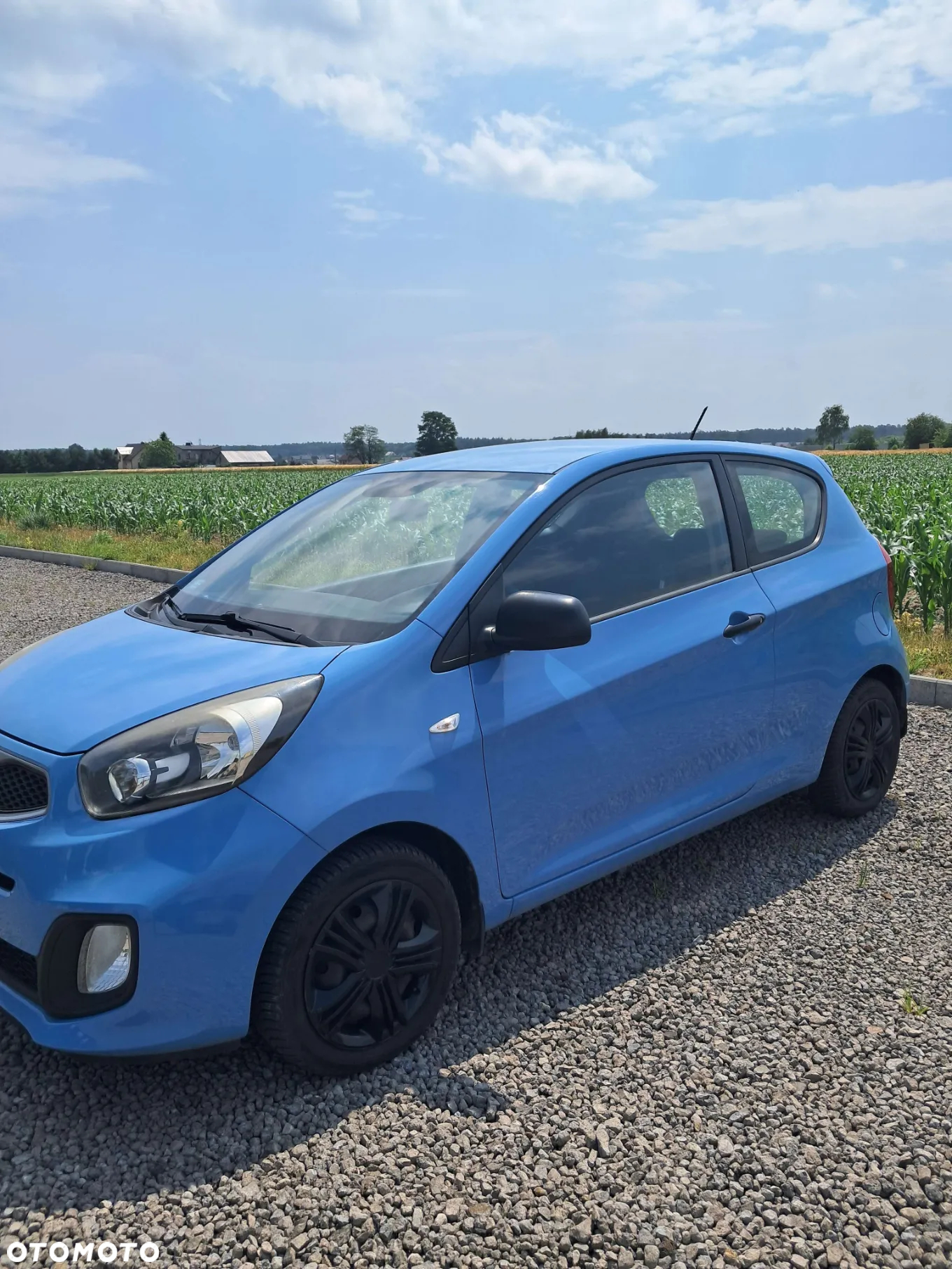 Kia Picanto - 2