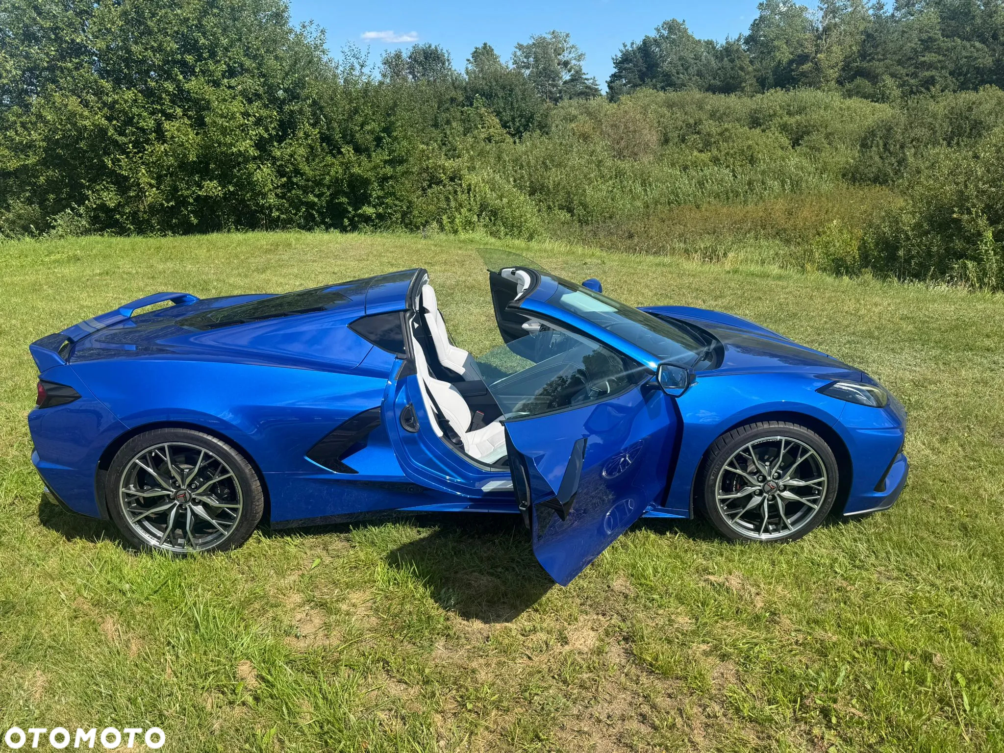 Chevrolet Corvette - 11