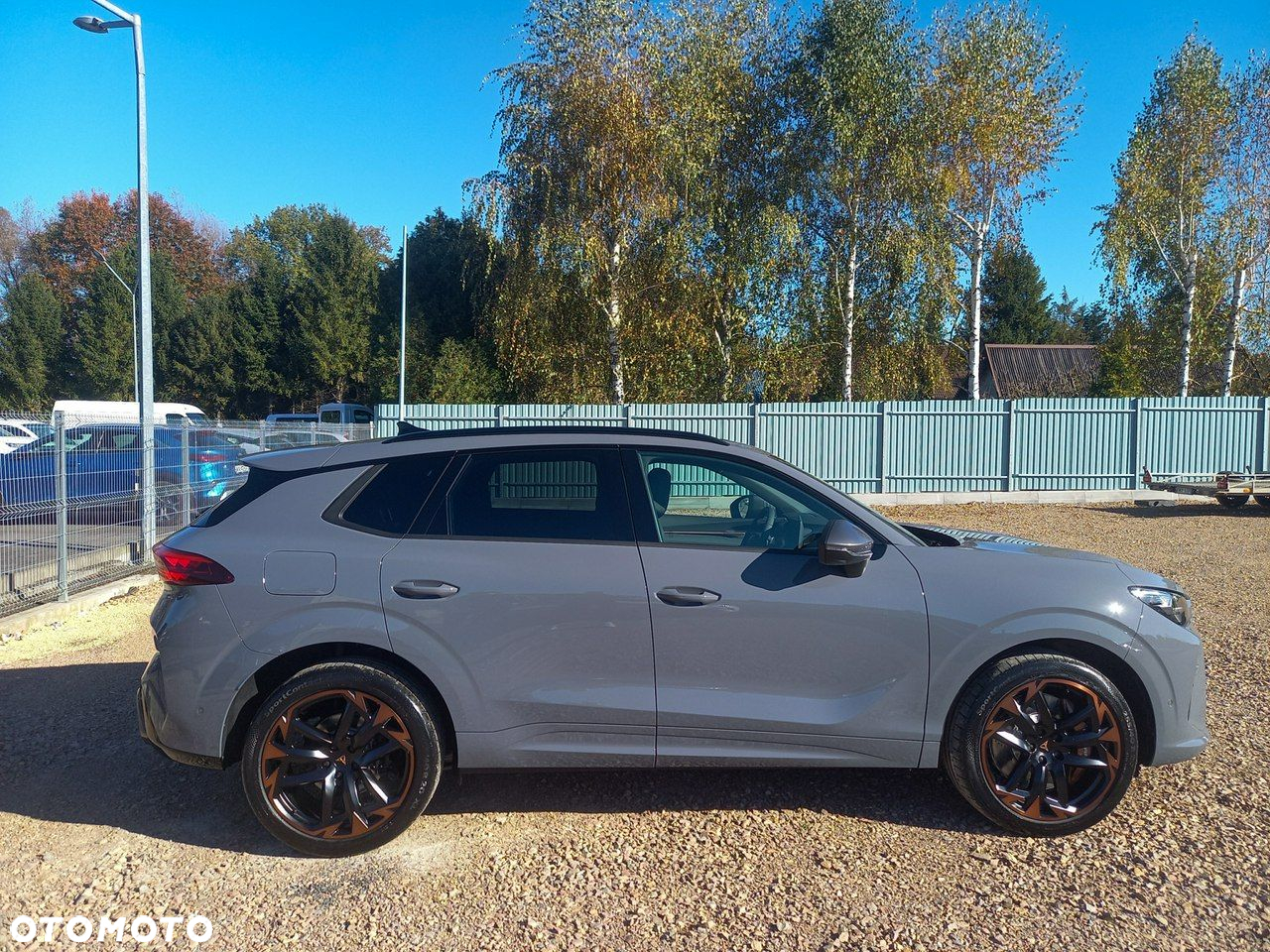 Cupra Terramar - 4