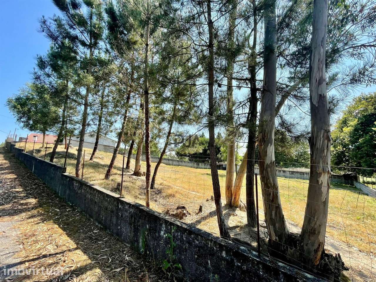 Terreno com viabilidade construtiva em Santa Comba Dão - Grande imagem: 2/5