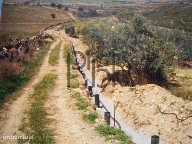 Herdade Montinho do Pascoal - Grande imagem: 5/34