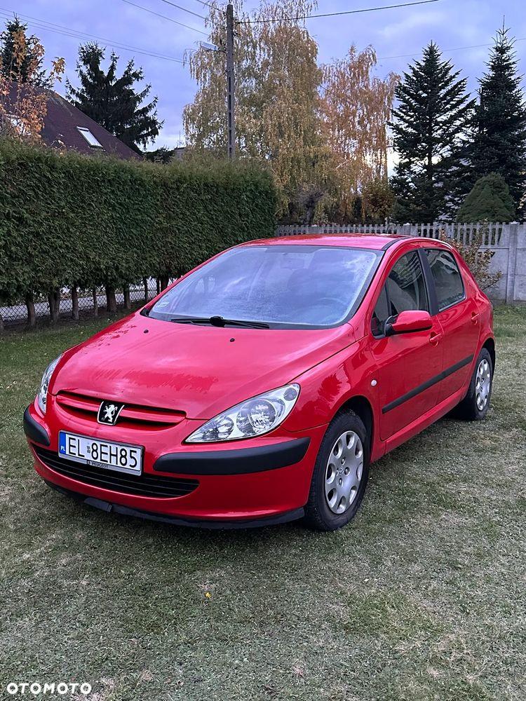 Peugeot 307 - 11