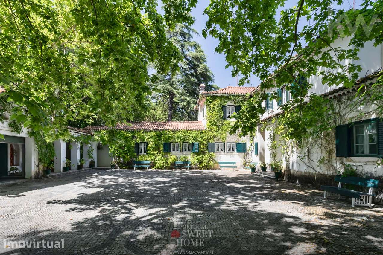 Herdade com 4,5 ha, Casa T6 c/piscina, garagem no centro Torres novas - Grande imagem: 5/60