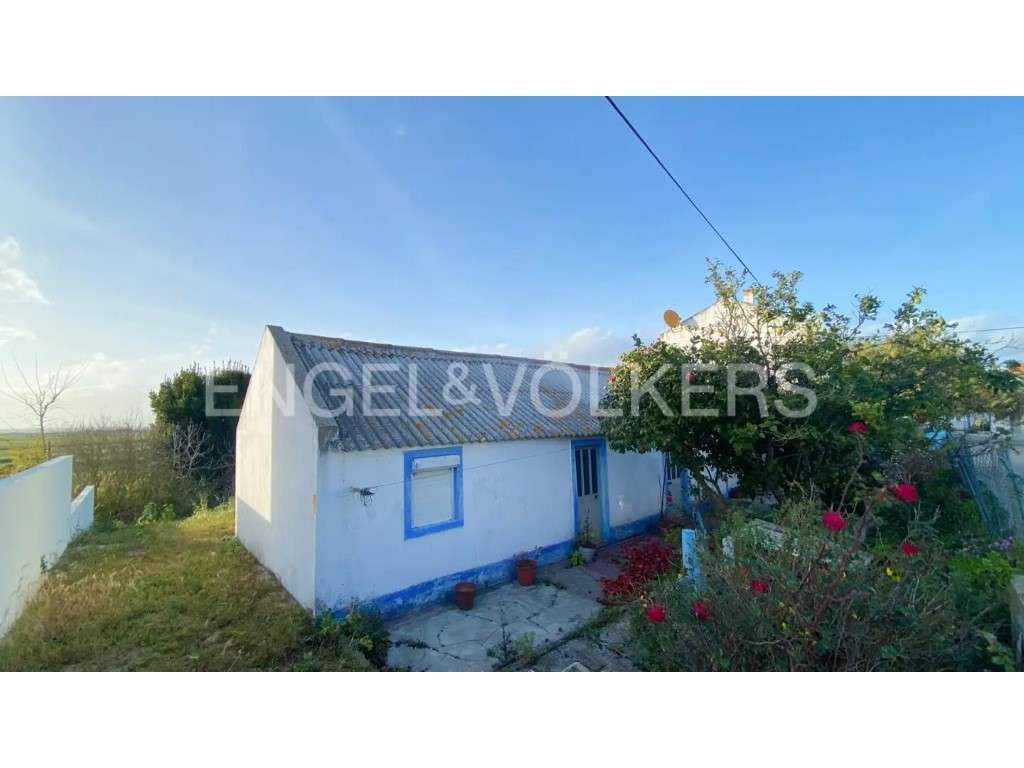Terreno com vista arrozais na Comporta - Grande imagem: 5/9