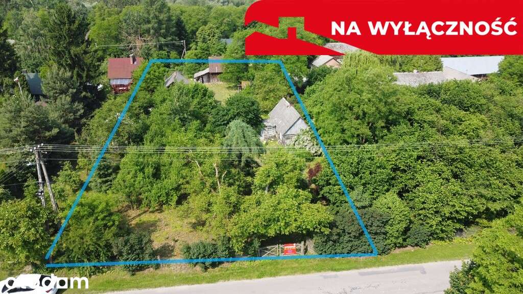 Siedlisko w Kaliszanach Kolonii gm. Józefów - Pełny obrazek: 3/20