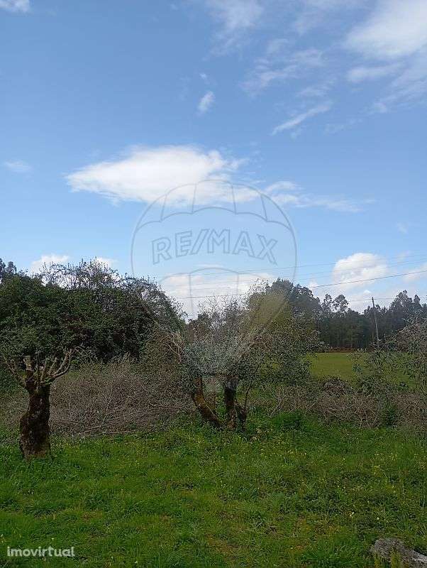 Terreno  para venda - Grande imagem: 3/8