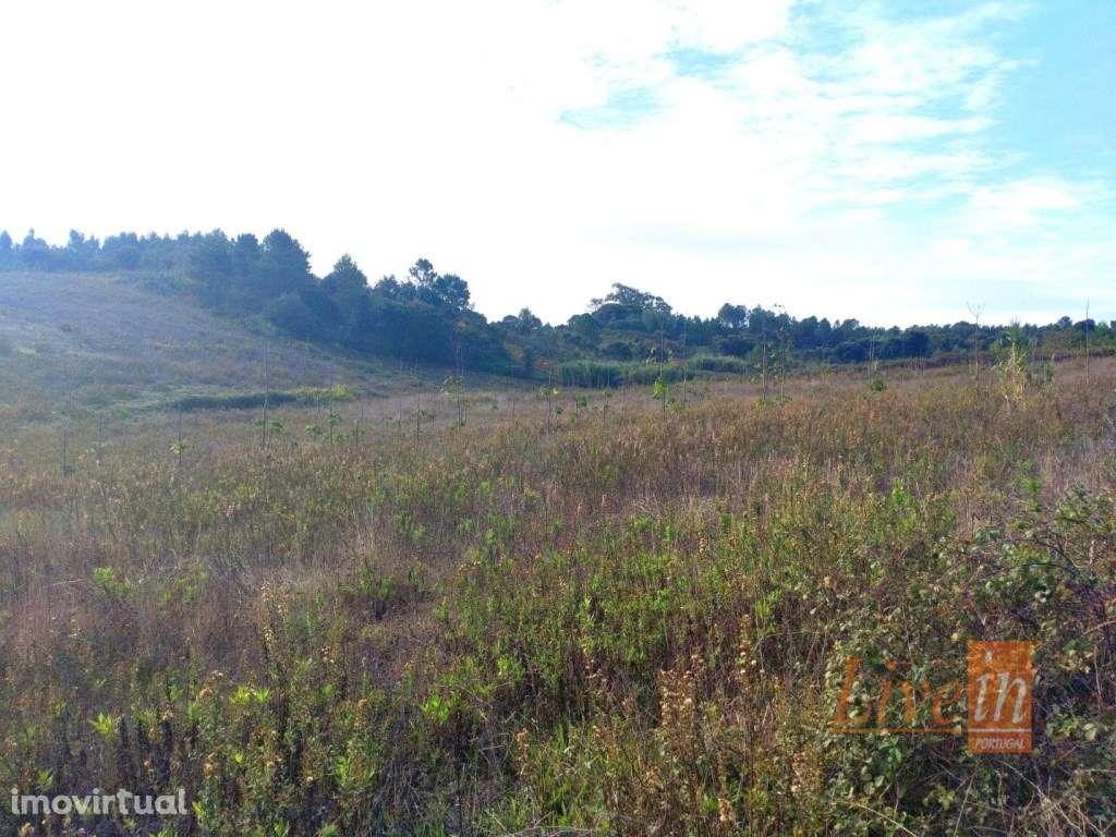 Terreno em Cabanas do Chão com 50280 m² - Grande imagem: 2/6
