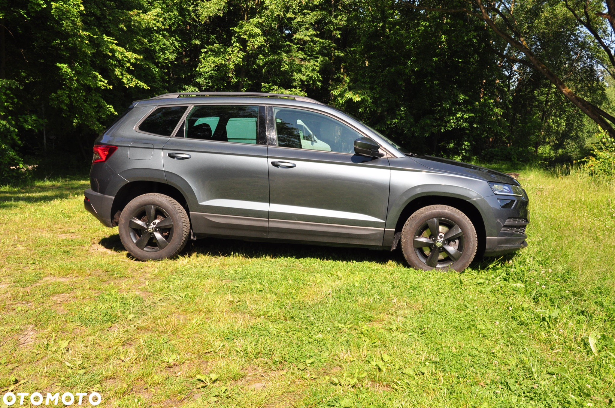 Skoda Karoq 2.0 TDI 4x4 DSG Drive - 4