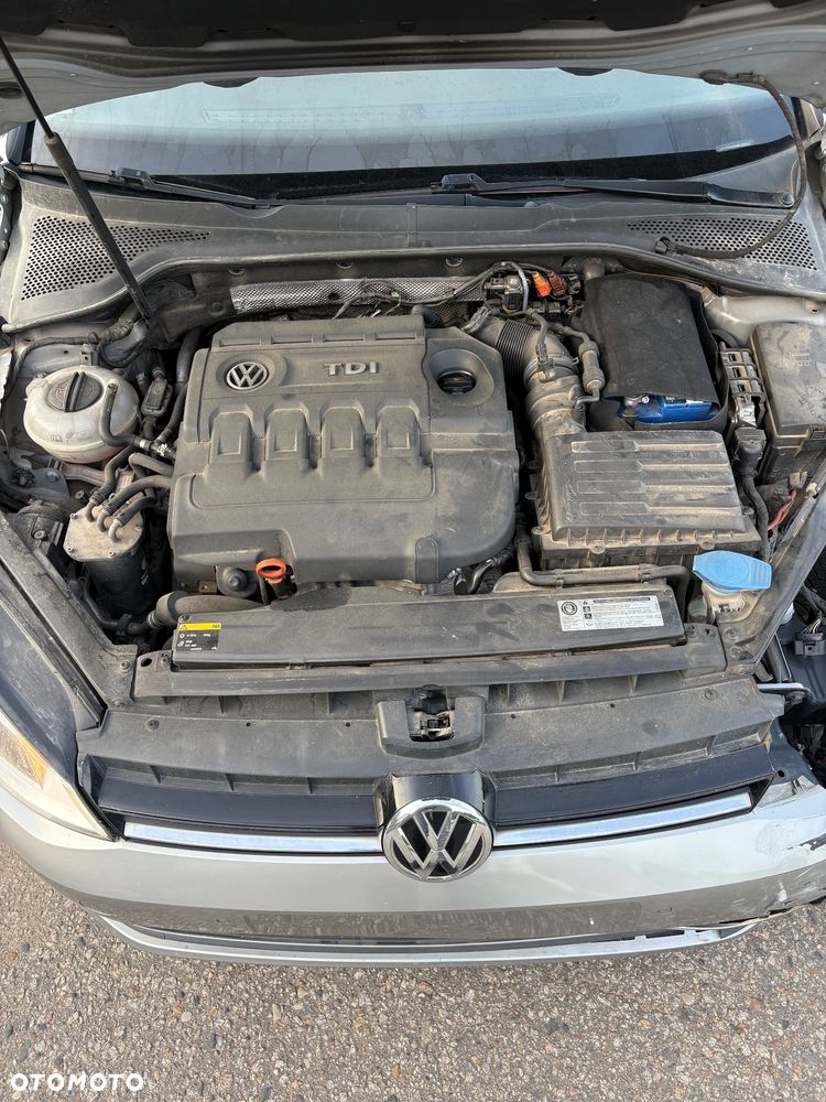Volkswagen Golf - 13