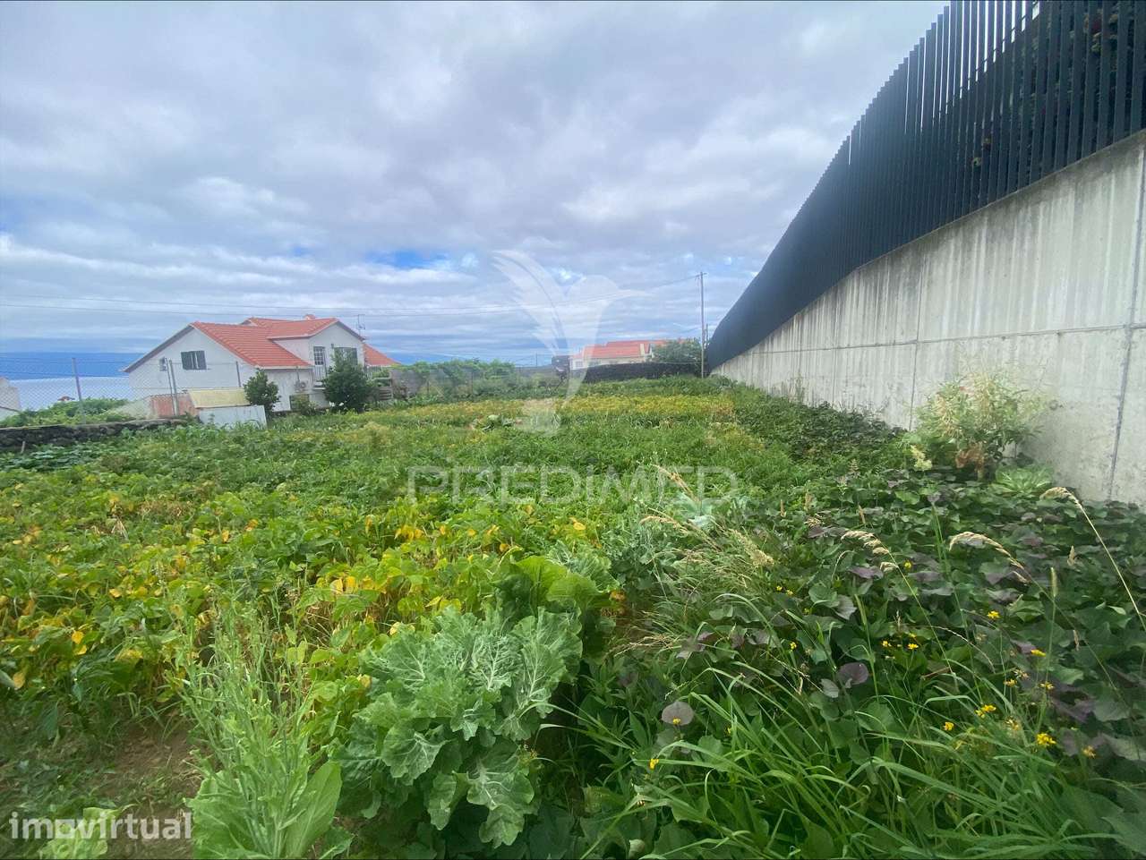 Terreno Urbanizável com 546 m² na Vila da Calheta – São Jorge - Grande imagem: 4/7