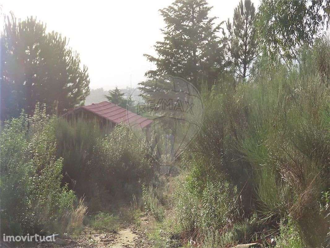 Quinta  para venda - Grande imagem: 2/27