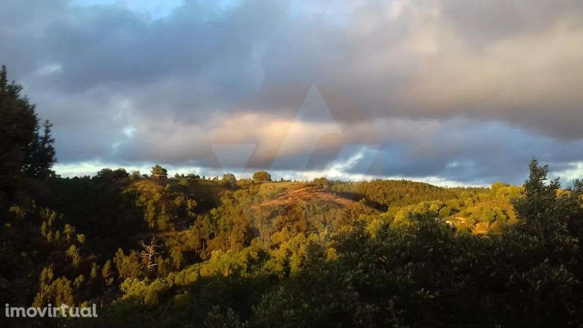 Bela quinta auto-suficiente - Grande imagem: 3/21