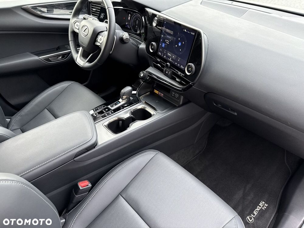 Lexus NX - 10