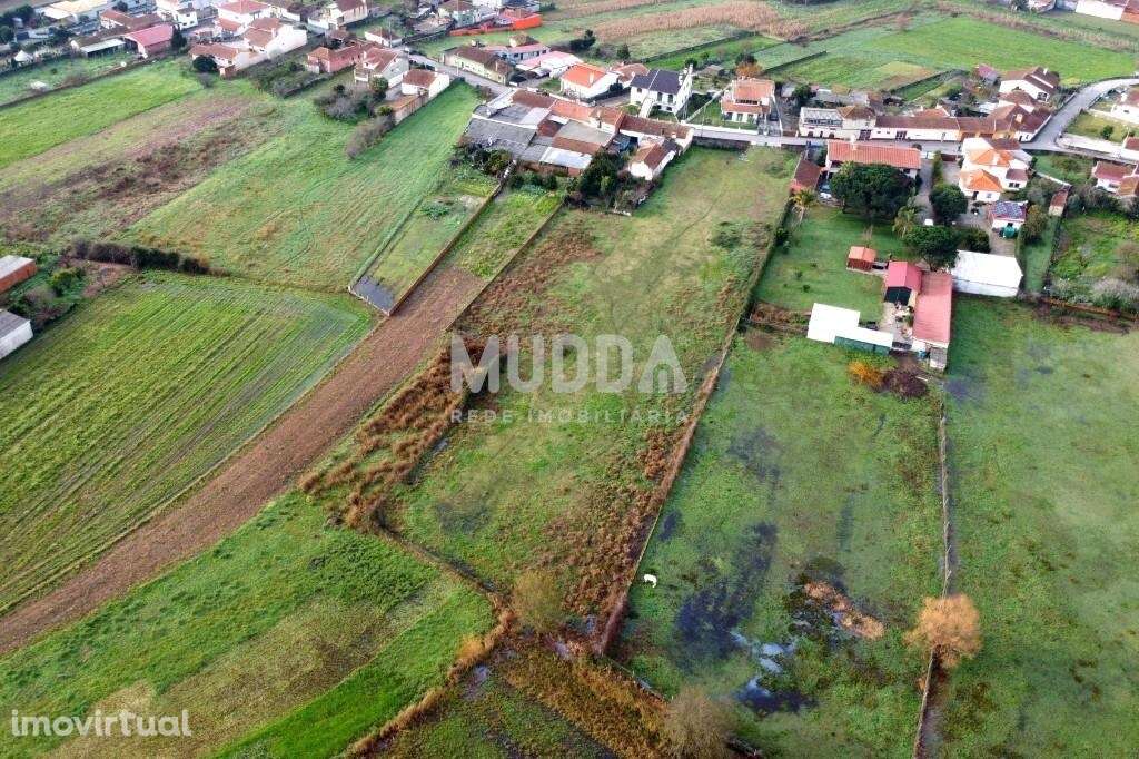 Terreno Rústico com Potencial de Construção – Perto do Centro de Estar - Grande imagem: 5/7