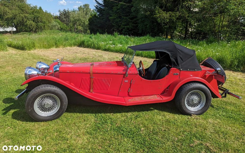 Jaguar Inny - 8