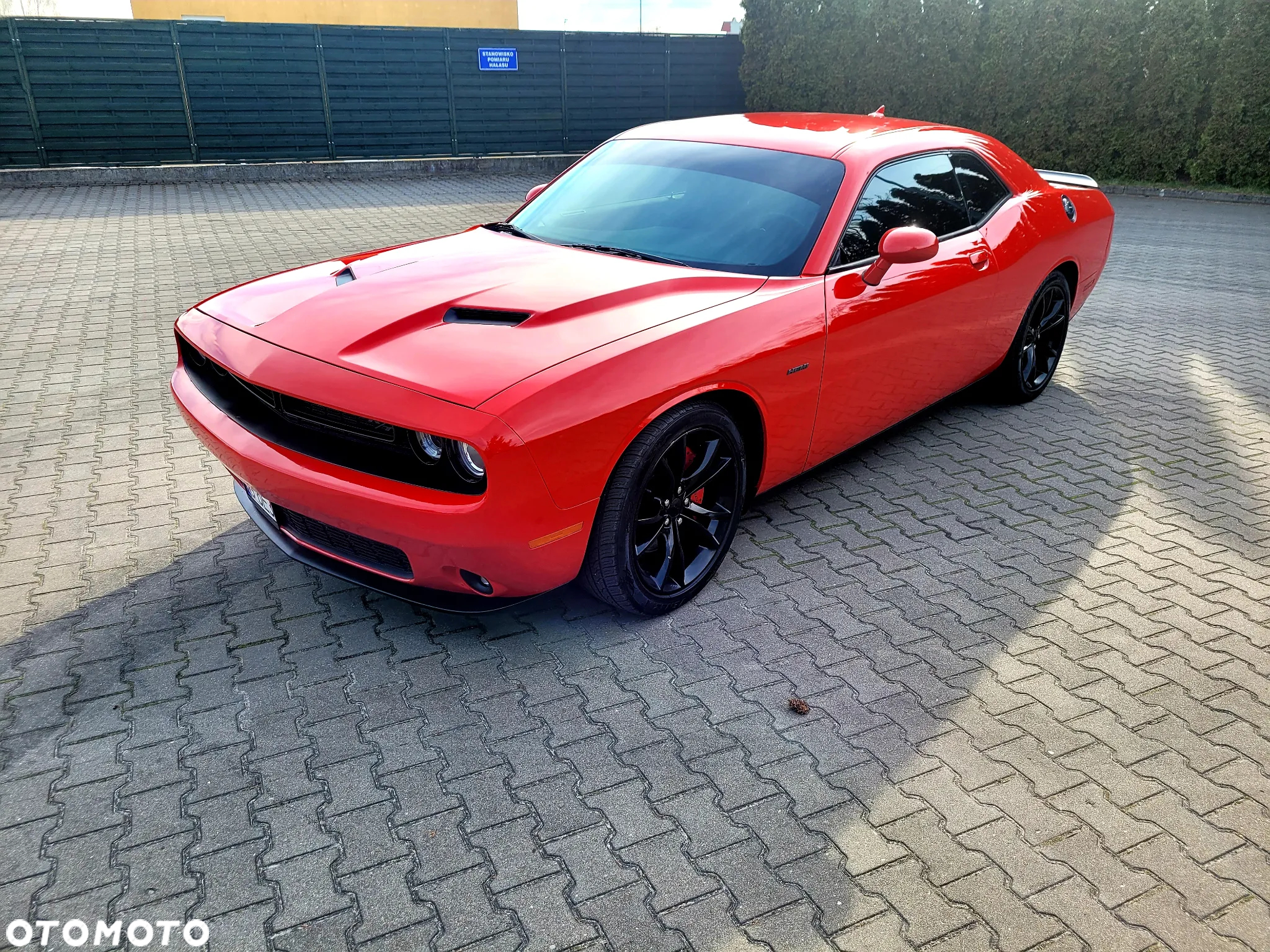 Dodge Challenger Automatik R/T Plus - 5