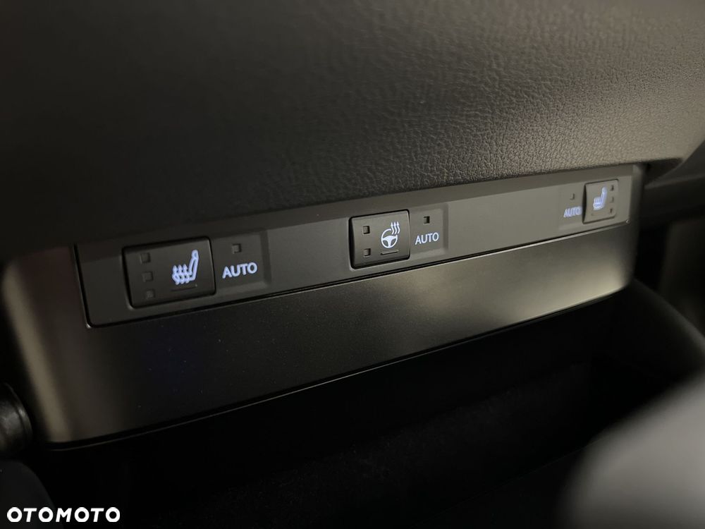 Lexus ES 300h Business Edition - 31