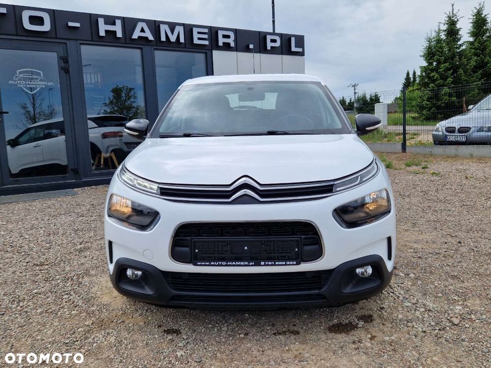 Citroën C4 Cactus 1.5 BlueHDi Shine Pack - 25
