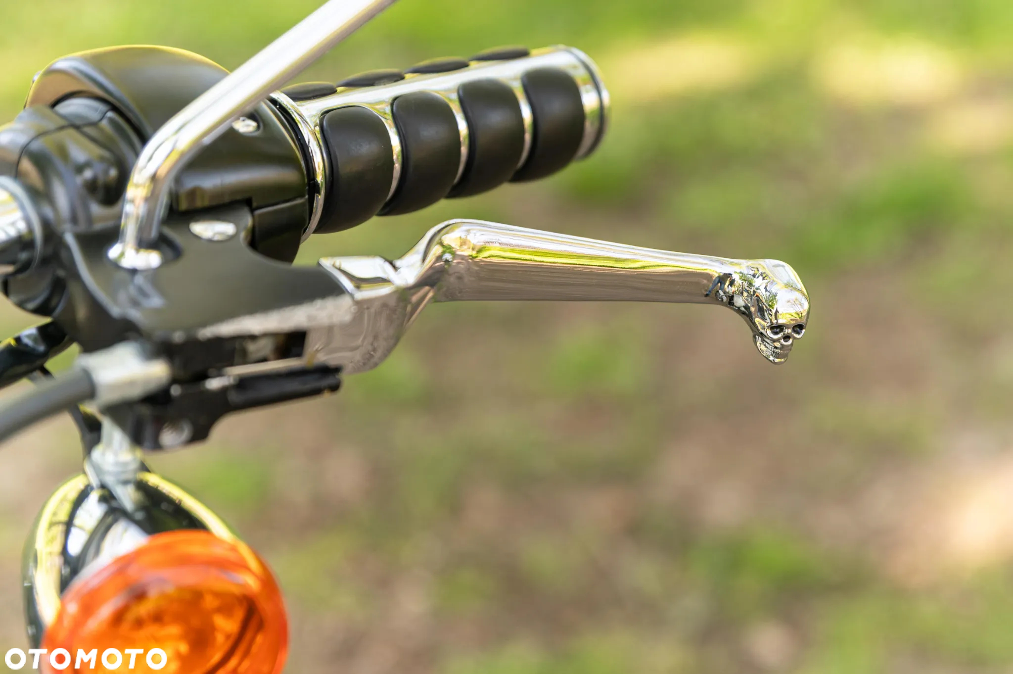 Harley-Davidson Inny - 20