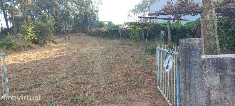 Terreno de construção 1600m2 - Grande imagem: 4/4