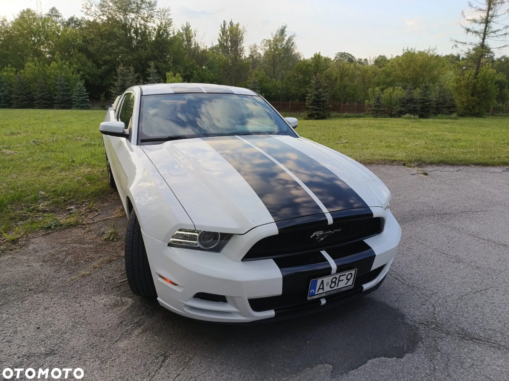 Ford Mustang 3.7 V6 Premium - 30