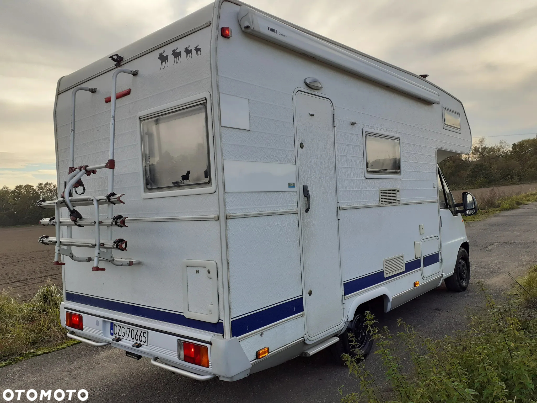 Fiat Ducato - 21