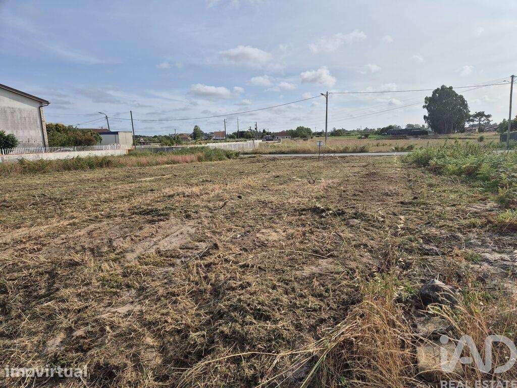 Terreno Agrícola em Ponte de Vagos e Santa Catarina - Grande imagem: 2/13