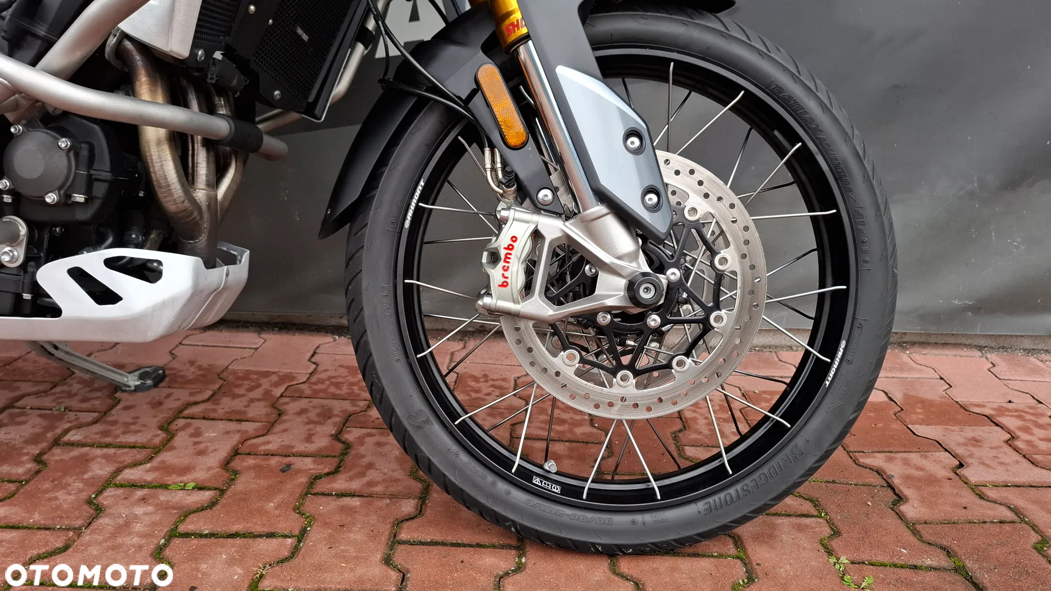 Triumph Tiger - 14