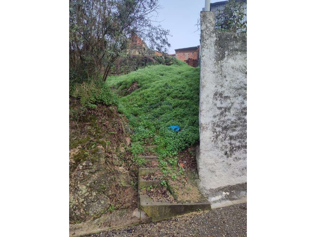 Terreno com Ruína para Reconstrução - Arripiado - Grande imagem: 5/6