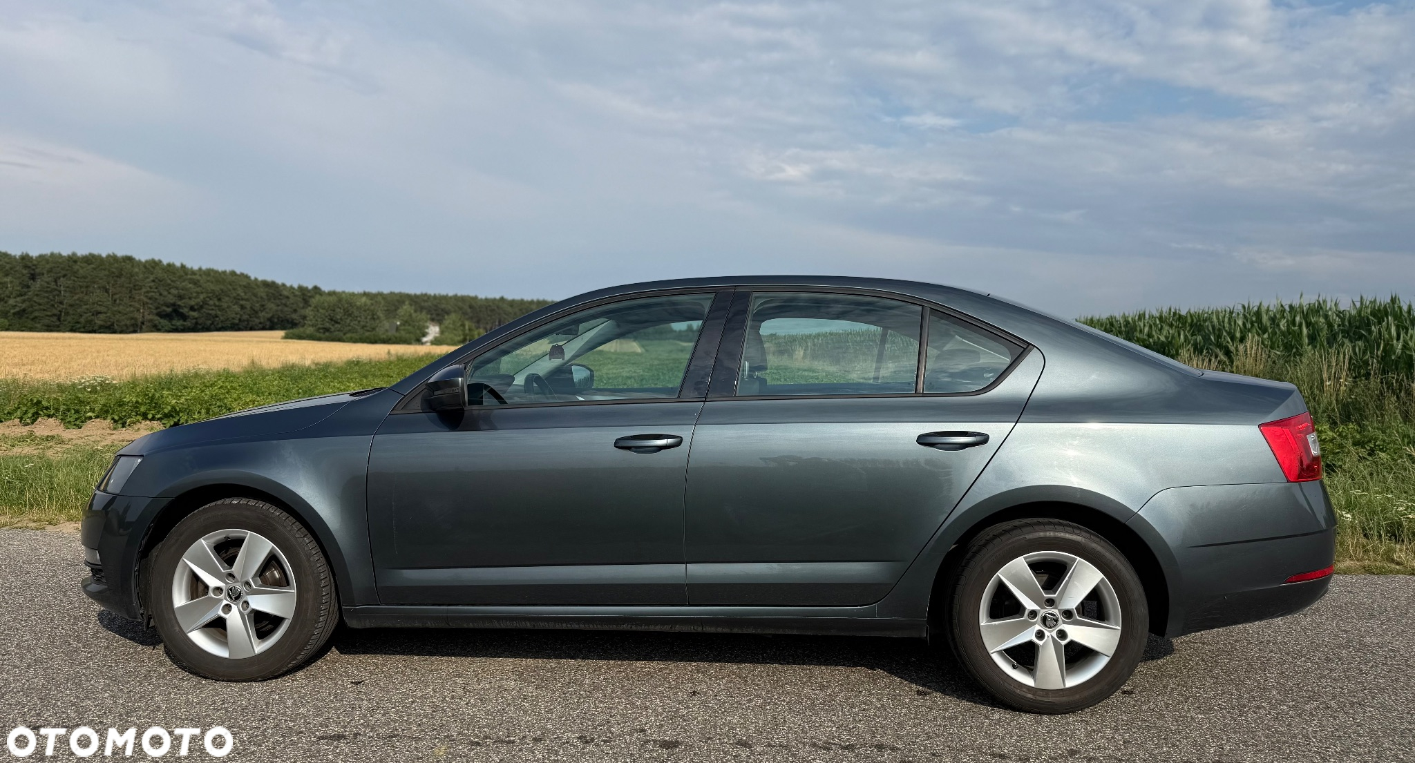 Skoda Octavia 1.6 TDI Active - 2