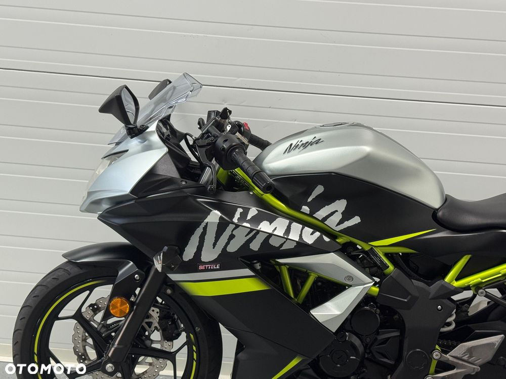 Kawasaki Ninja - 20