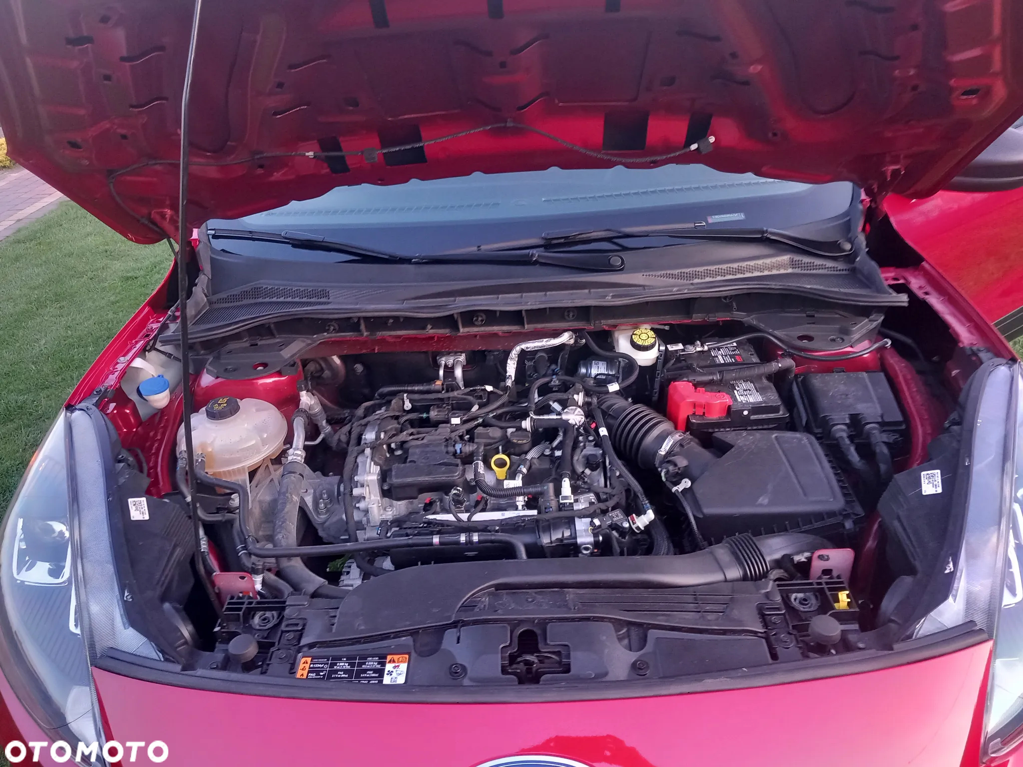 Ford Escape 1.5 EcoBoost AWD SE - 5