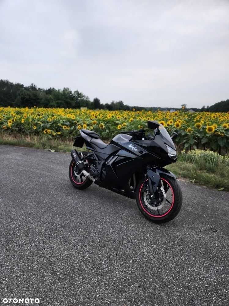 Kawasaki Ninja 250R - 6