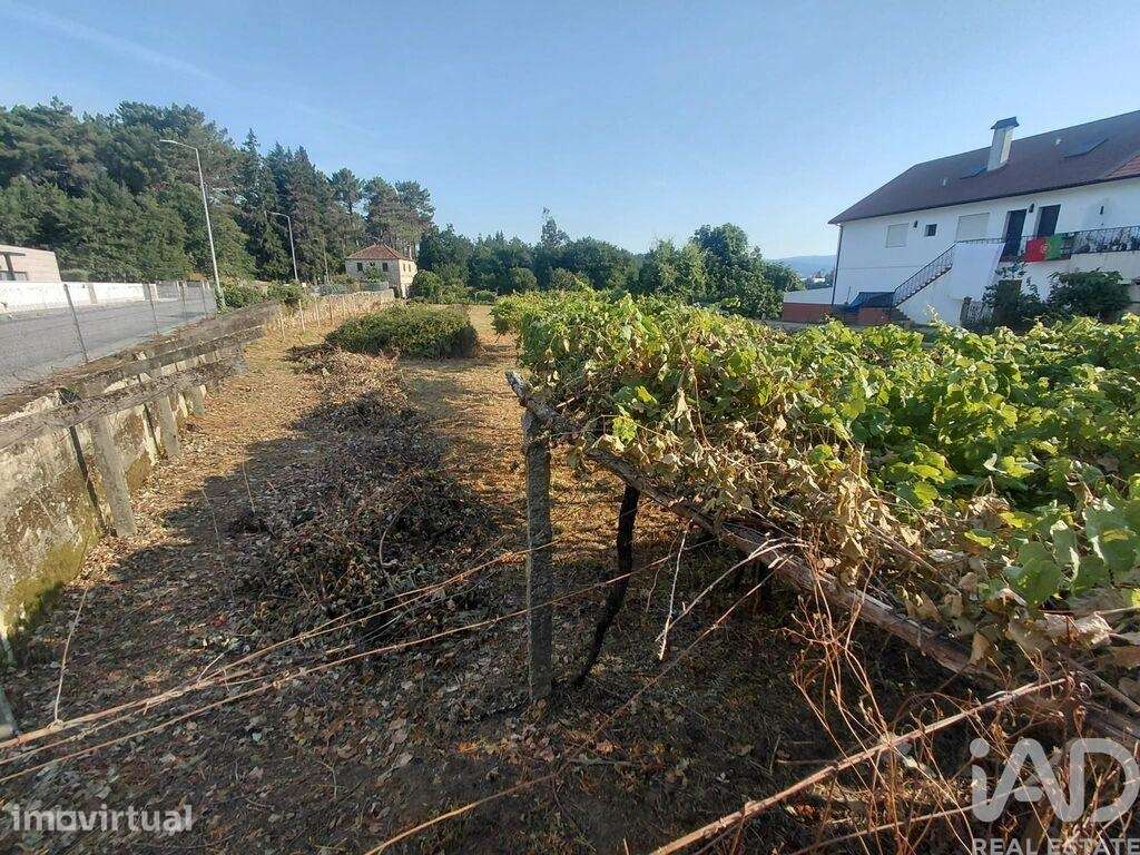 Terreno em Prado e Remoães - Grande imagem: 5/9
